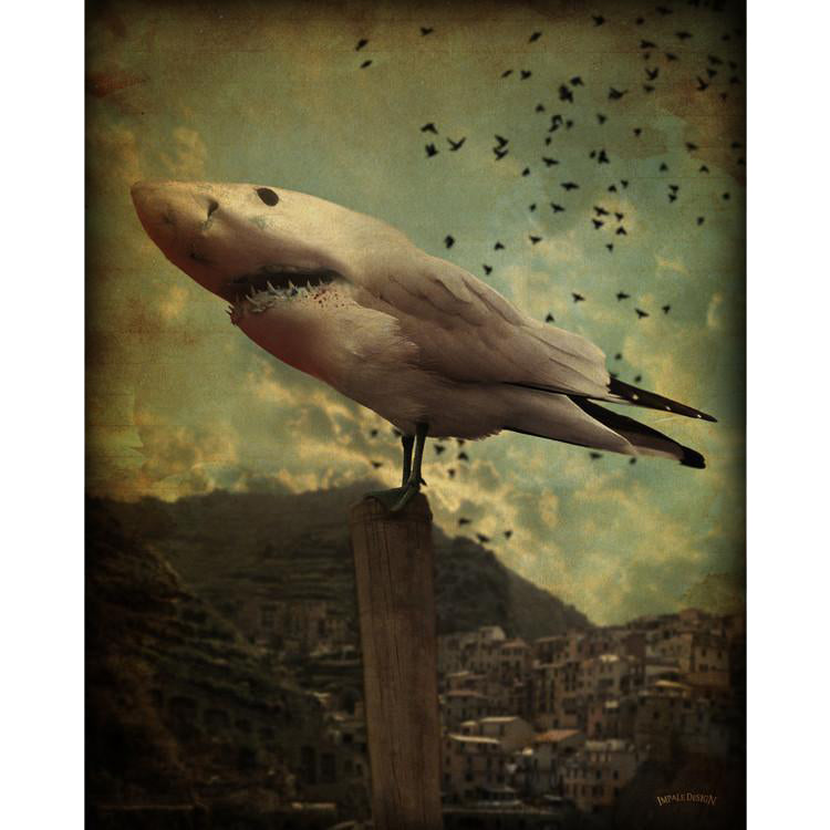 Bird Shark