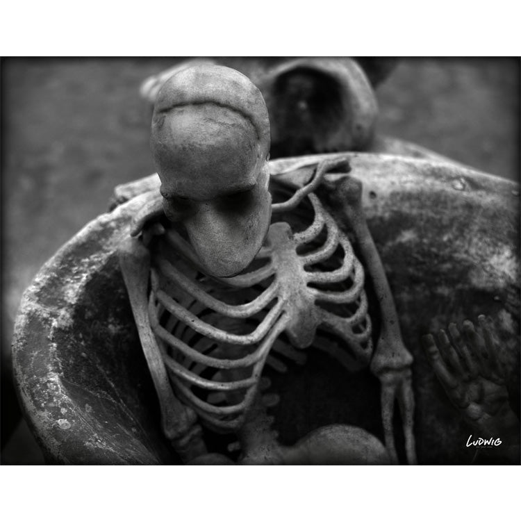 Bones