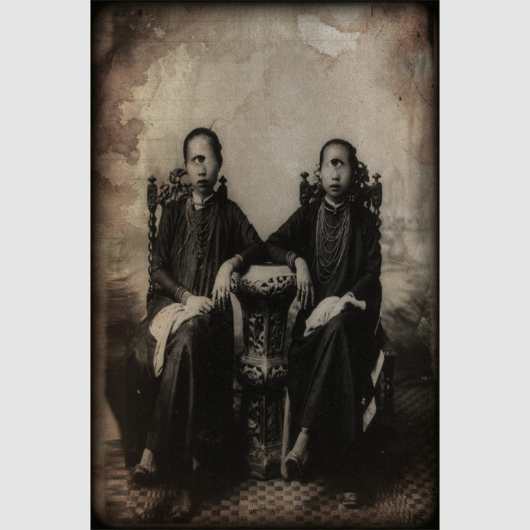 Cycloptic Siamese - Thirteenth Floor