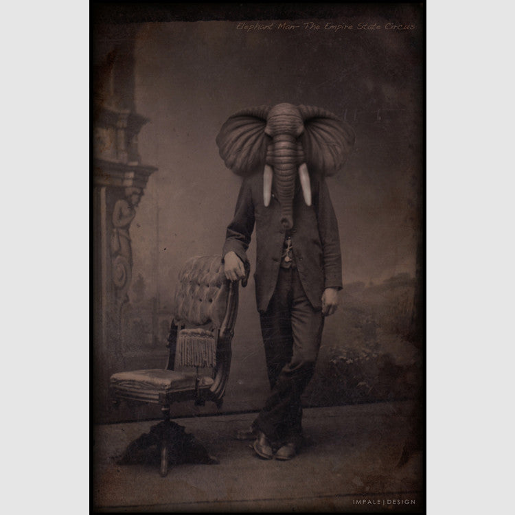 Cycloptic Siamese + Elephant Man - Thirteenth Floor