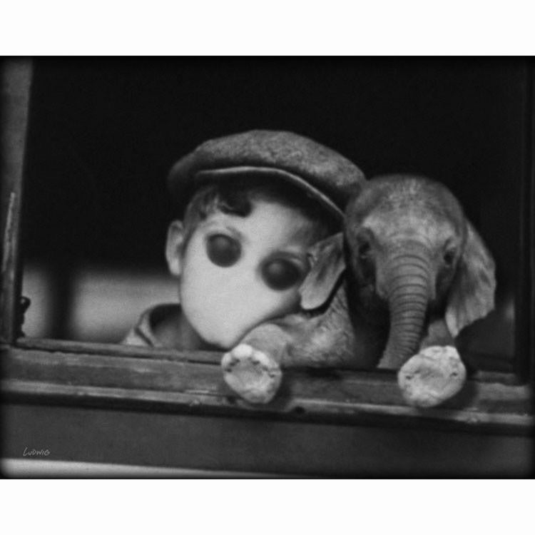 Adam's Elephant - B/W