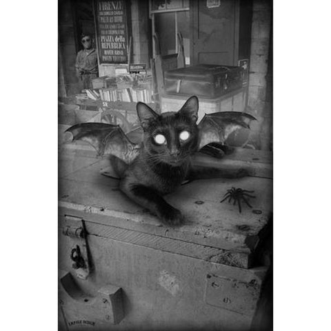 Kitty Bat (Black & White)