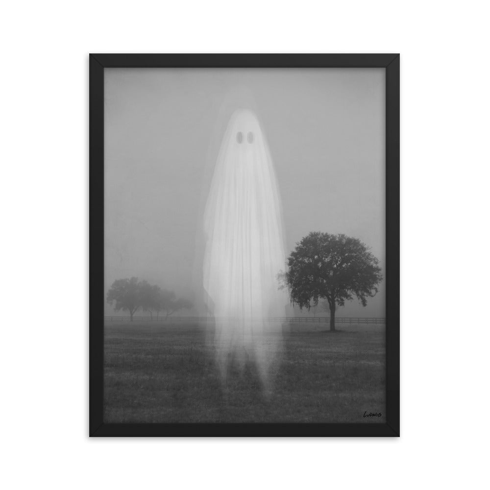 Ghost Framed Print